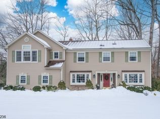 7 Old Chimney Rd, Randolph, NJ 07869