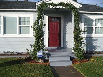 Bouganvillea archway