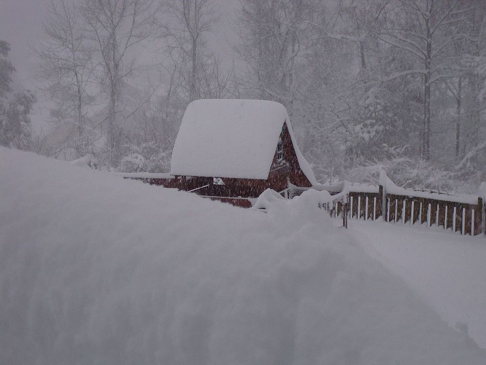 Winter back yard