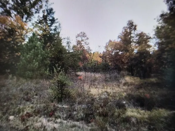 LOT 21 Northwood Dr, Grayling, MI 49738