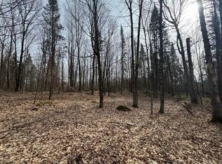 PARCEL Private Rd #B, Mercer, WI 54547