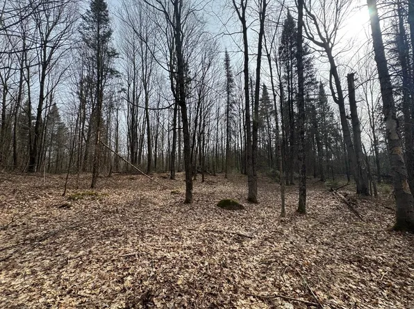 PARCEL Private Rd #B, Mercer, WI 54547