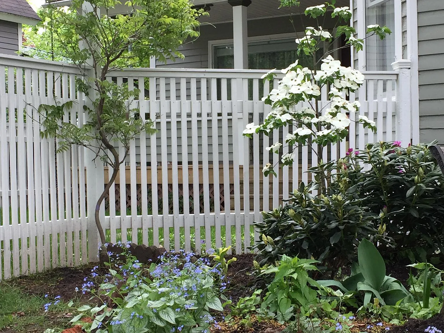 1 bed, 750 sqft, $1,250 — Photo 2