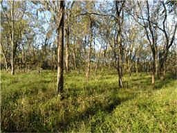 2nd image of 10 Forest Isle Ln