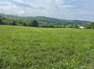 117 County Rd, Riceville, TN 37370