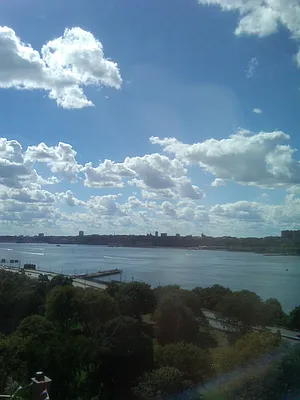 Sold by Sotheby's International Realty | media 23