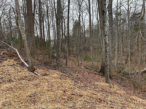 2nd image of 6524 Mintbrook Dr