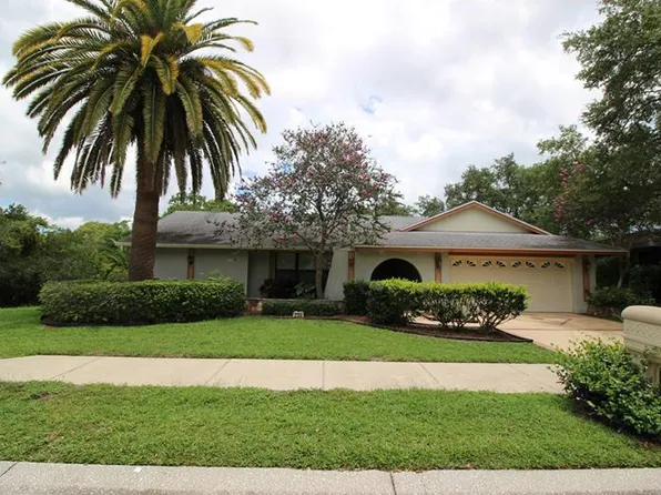 3104 Blue Heron St, Safety Harbor, FL 34695