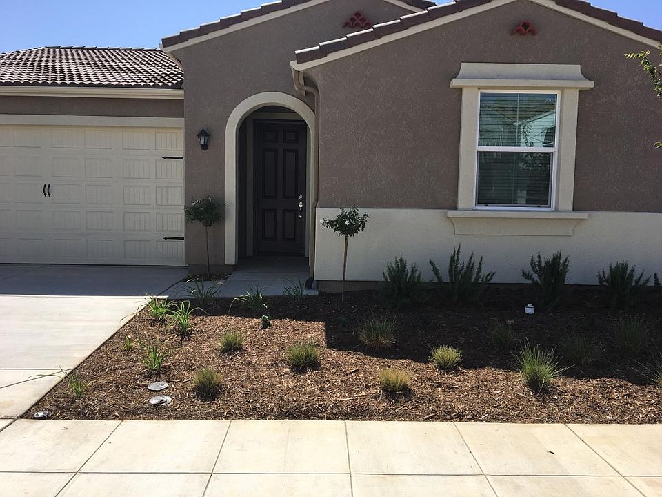 Dry-scape front yard.