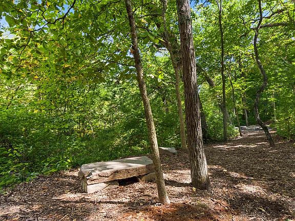 2nd image of LOT 58 W Forestwood Dr