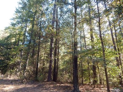 Johnson Rd, Gilmer, TX, 75645