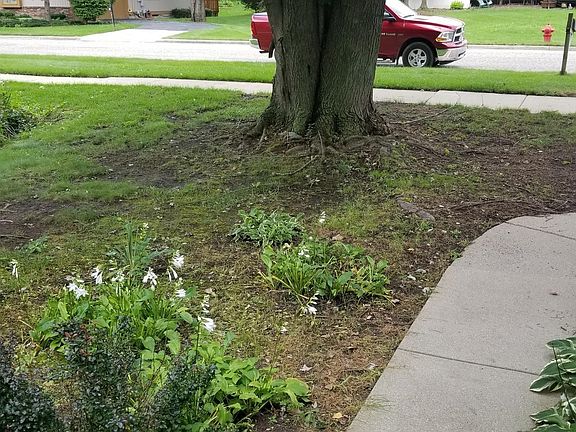 2nd image of 2607 Woodhill Dr