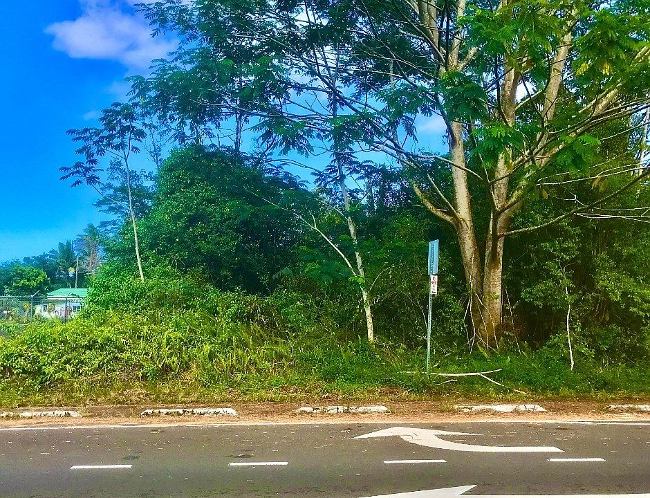 2nd image of Kahakai Blvd Lot 3