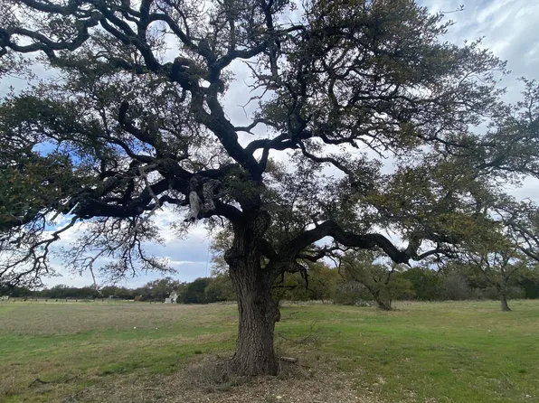 TRACT 2 County Road 206, Liberty Hill, TX 78642