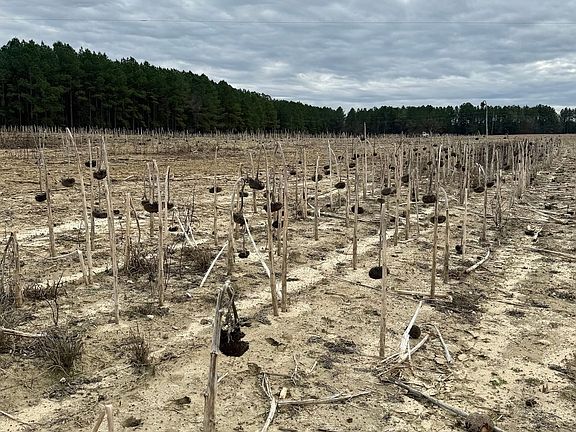 Photo Jan 17 2026 12 22 07 Pm