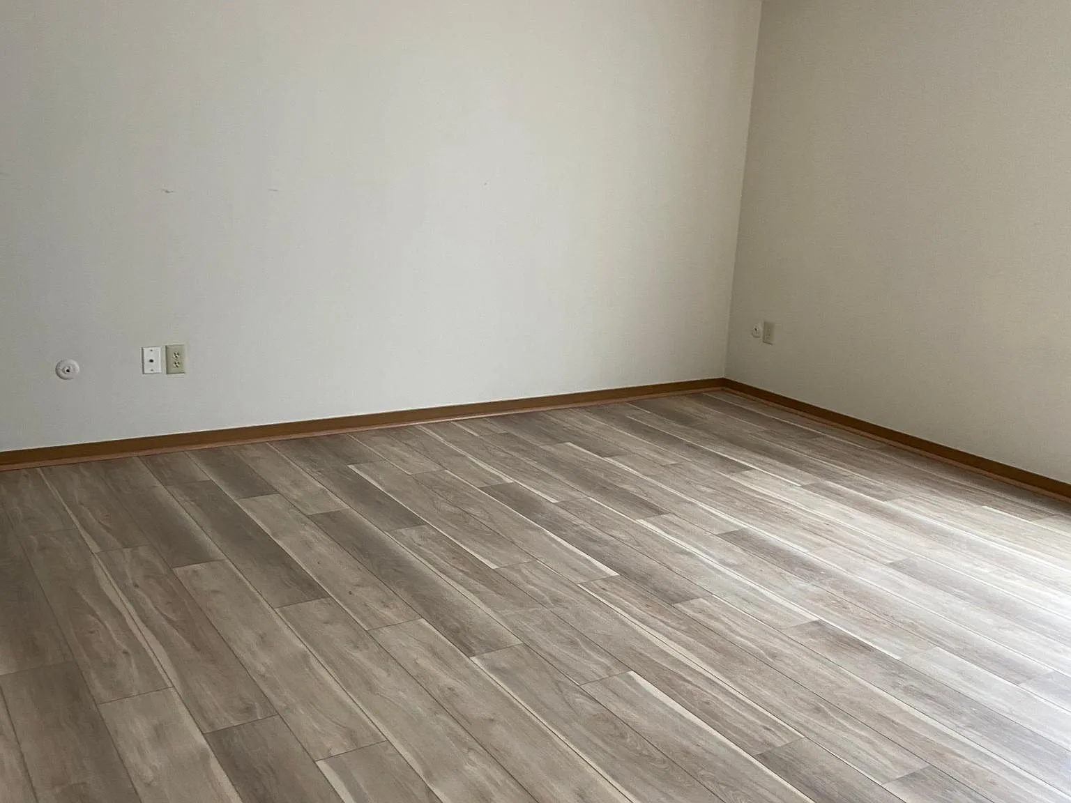 1 bed, 900 sqft, $1,150 — Photo 2