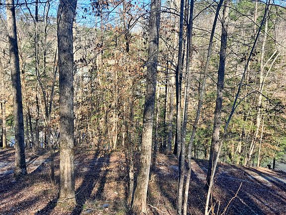 5th image of Legends Ln