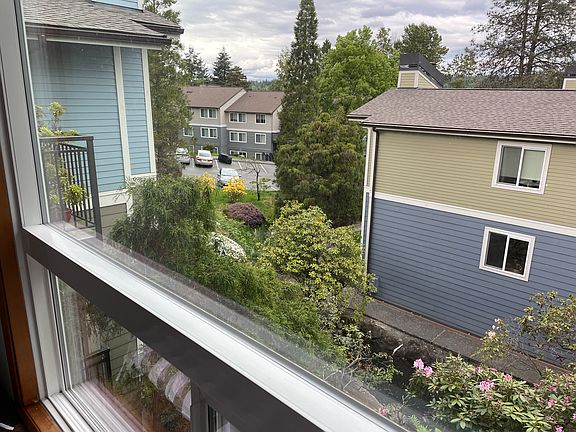 View from the bay window.
