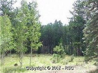 1054 Fossil Creek Rd, Florissant, CO 80816