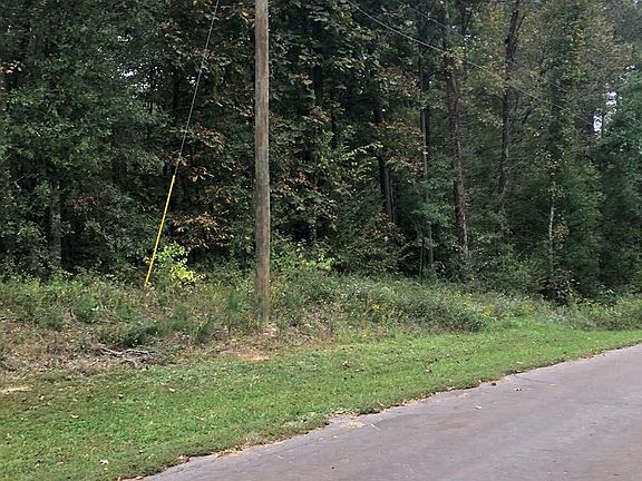 5th image of 550 Woodland Oak Dr