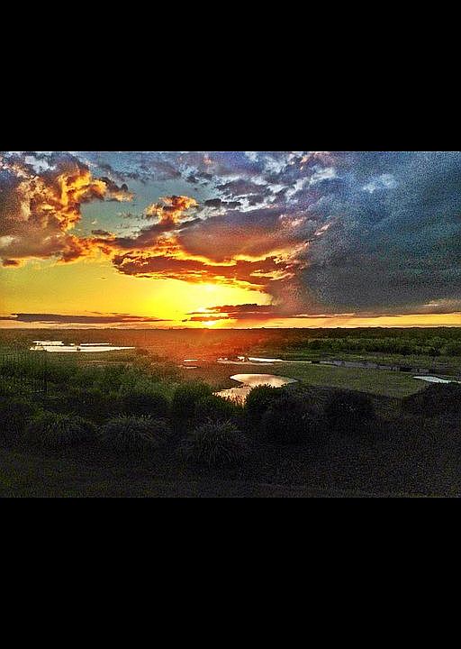 View from Backyard