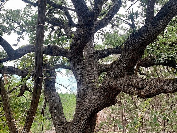 5th image of 807 Stagecoach Trl