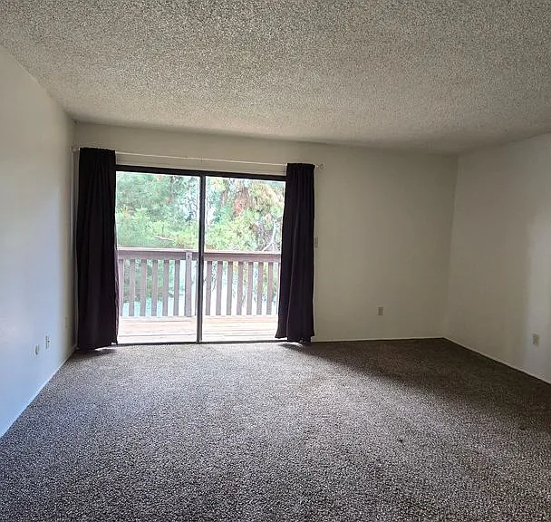 4147 Pinewood Lake Dr — Photo 21