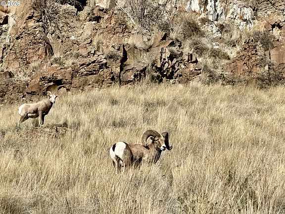 2nd image of 73720 Indian Creek Rd