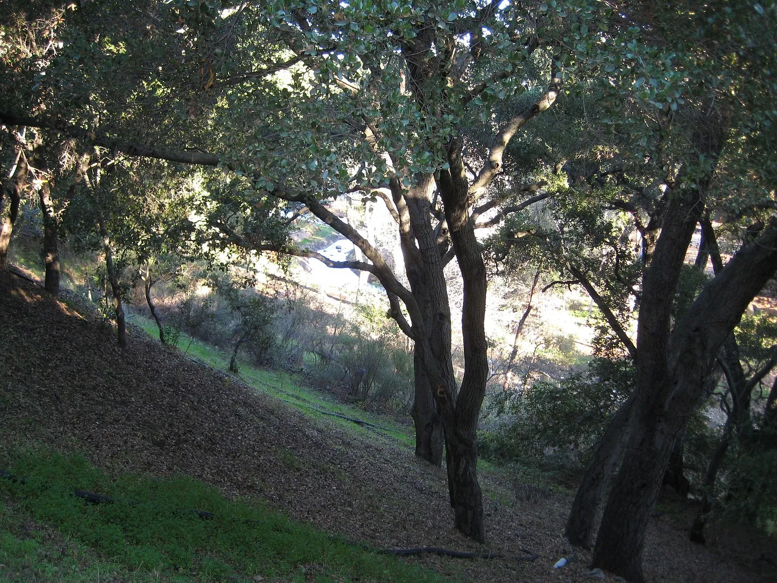 10338 Scenic Blvd photo 1