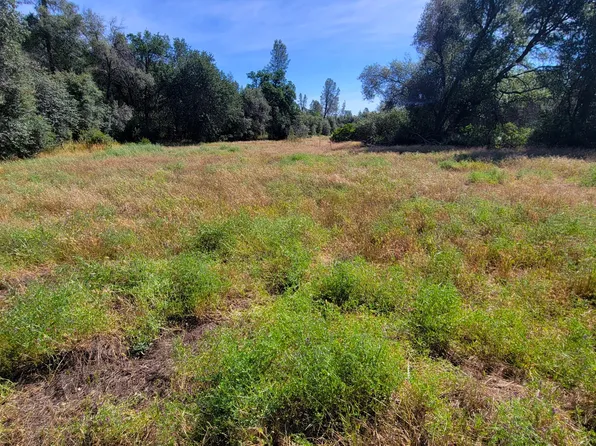 0 Brincat Manor Rd, Cottonwood, CA 96022