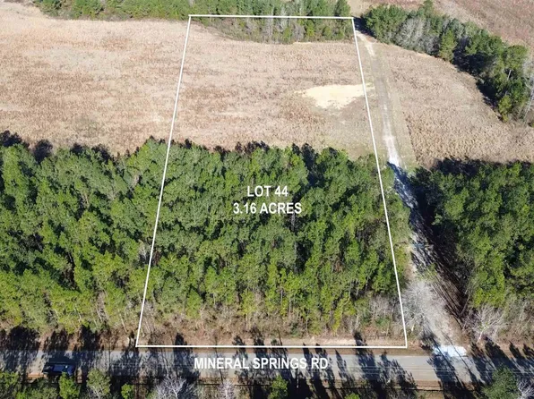 LOT 44 Mineral Springs Rd, Jay, FL 32565