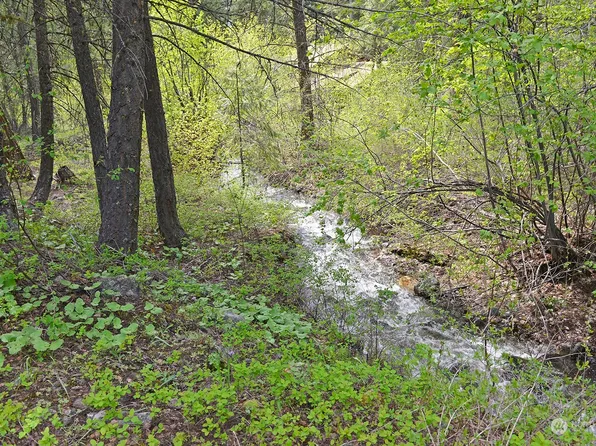 4 Lupine Road, Winthrop, WA 98862