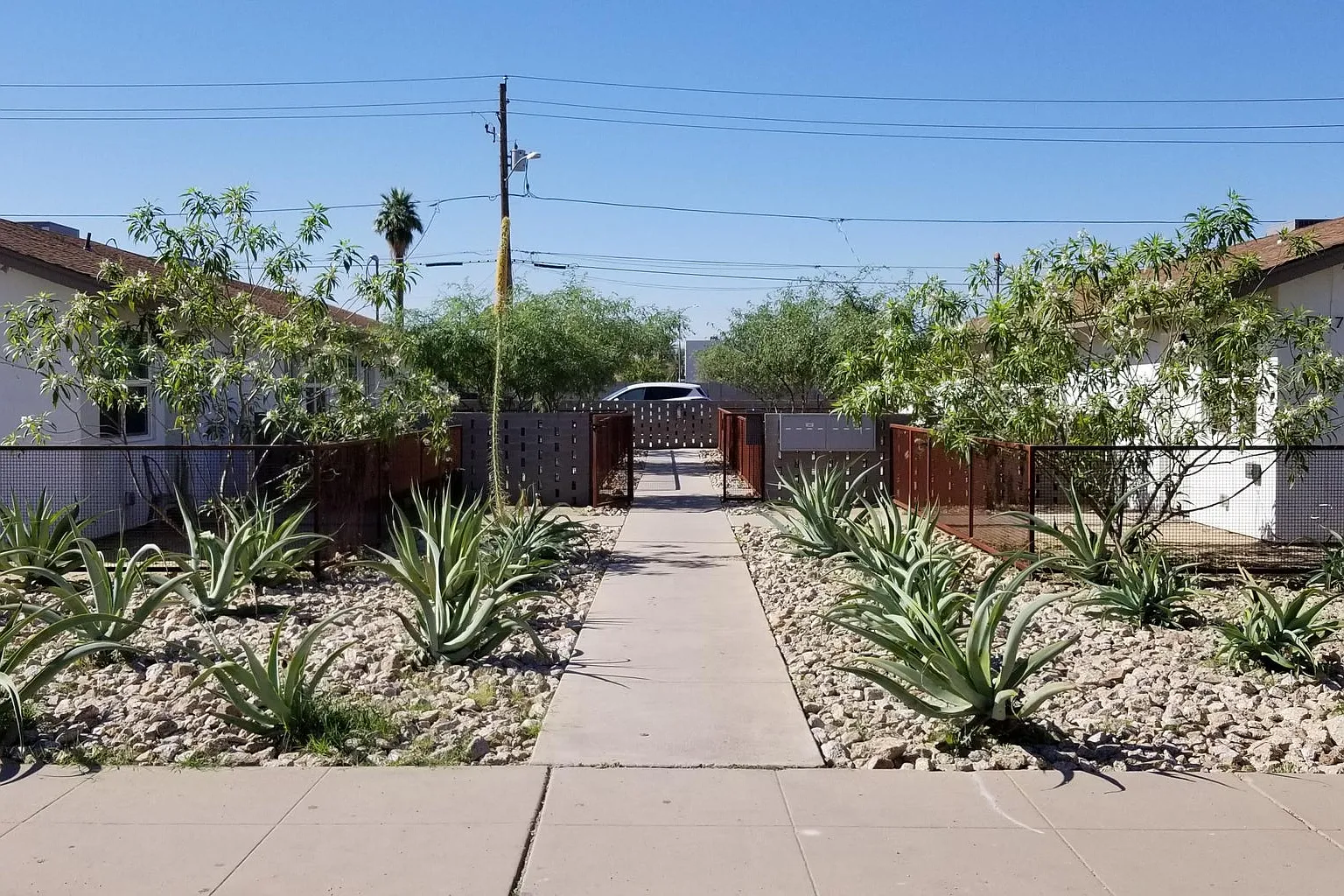 1 bed, 481 sqft, $1,150 — Photo 1