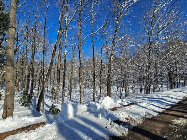 Long Pond Rd #1, Croghan, NY 13327