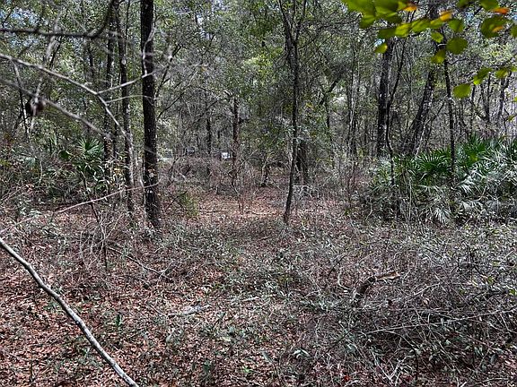 5th image of 141 Woodland Lane