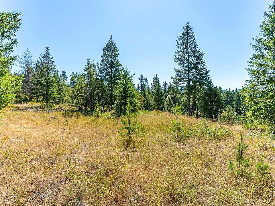 1059 Scotia Rd, Newport, WA 99156 MLS 202320642 Zillow