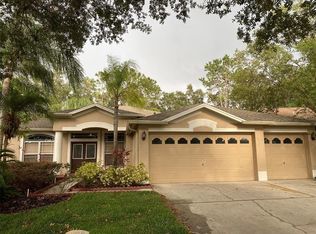 10152 Whisper Pointe Dr, Tampa, FL 33647