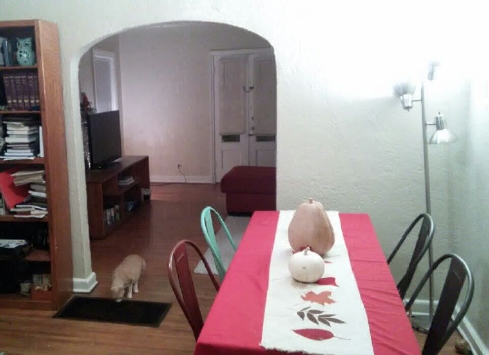 2nd image of 1602 E 14th St APT 1