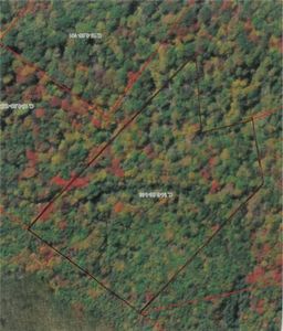 55 Cumberland Rd, Bedford, PA, 15522