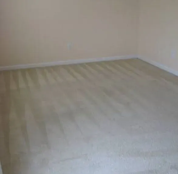 392 Eagle Pointe Dr — Photo 7