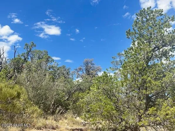 1020 N Duffis Bluff Rd, Seligman, AZ 86337
