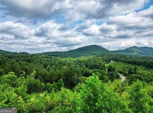 16 Hardscrabble Rd, Mineral Bluff, GA 30559