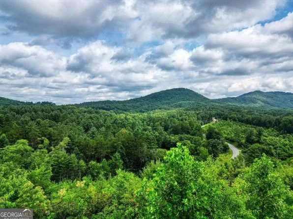 16 Hardscrabble Rd, Mineral Bluff, GA 30559