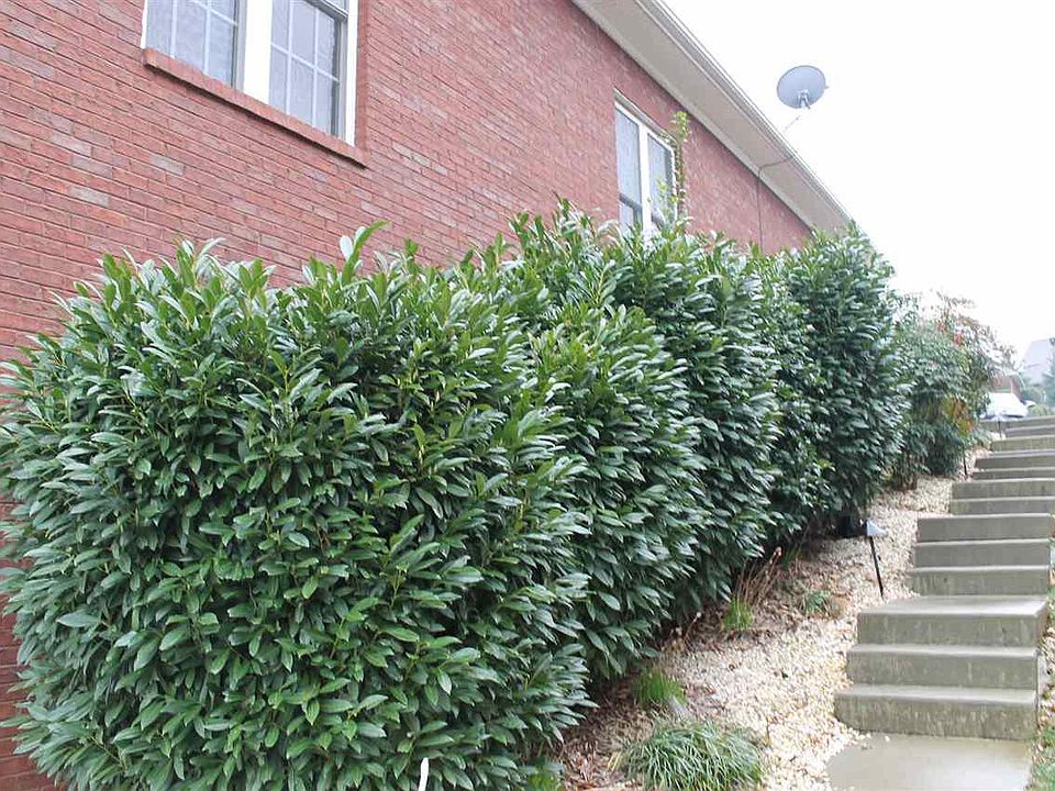 275 Lochmere Dr Morristown TN Zillow