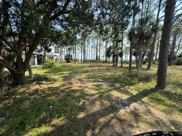 TRACT Highway 98 W #B, Carrabelle, FL 32322
