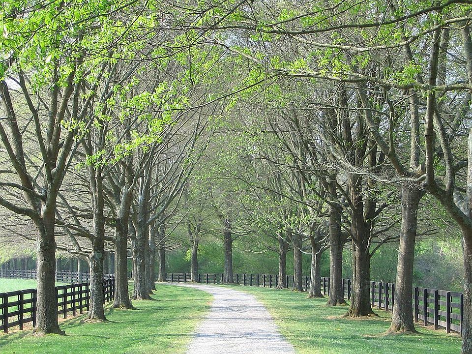 Property is adjacent to miles of tree-lined walking trails in North Valley.
