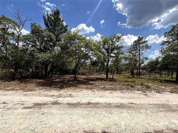 SE 95th St, Dunnellon, FL 34431