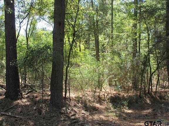 3rd image of Tbd Graystone Rd