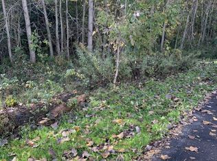 13240 Lake Chapin Banks Dr, Berrien Springs, MI 49103