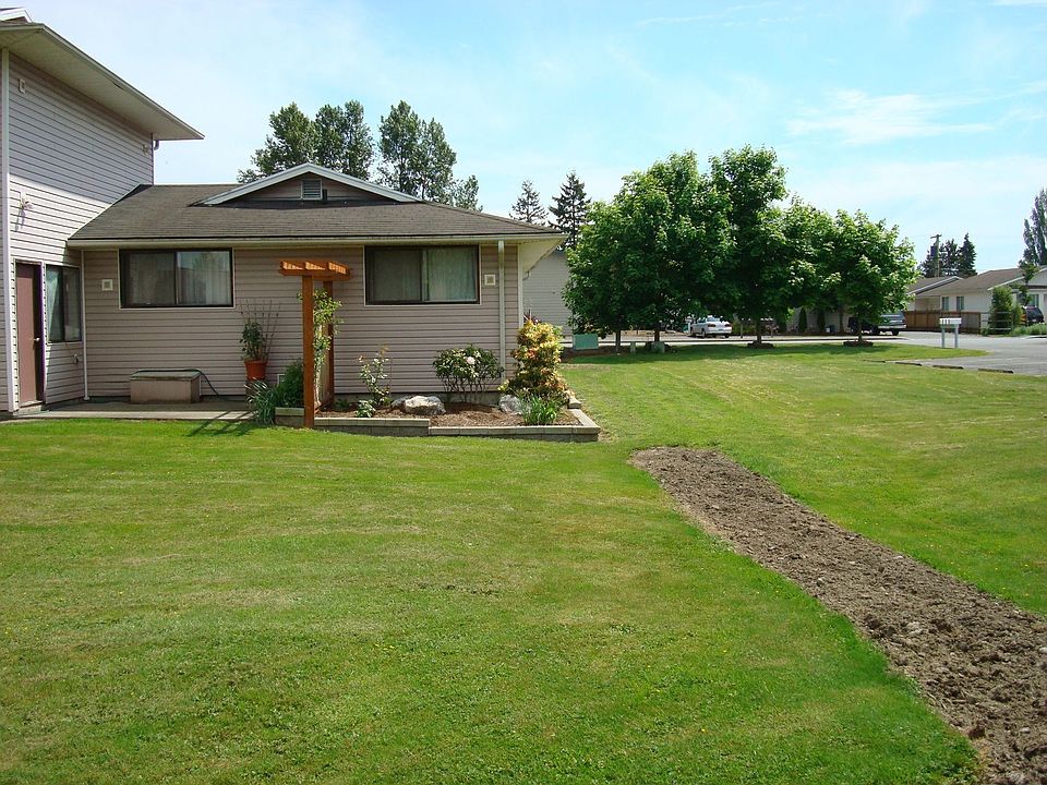 back yard